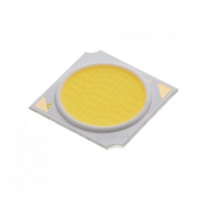 Led COB 19 mm 30W