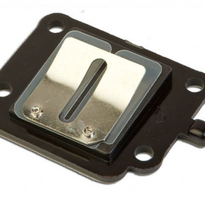 Muzicuta valva admisie Yamaha Booster 50