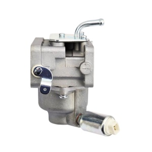 Carburator motor agricol Briggs & Stratton 791230, 799230, 699709, 498254 - Img 5