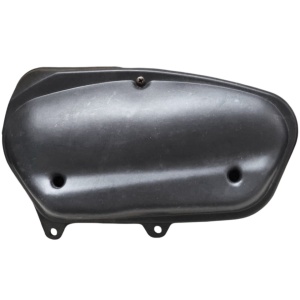 Filtru de aer scuter Yamaha / China
