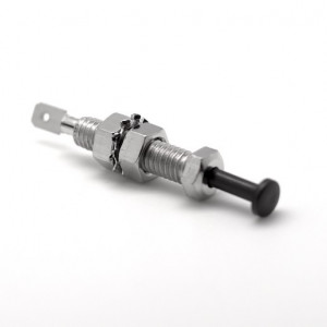 Intrerupator Push Pentru Auto 12V INT-12004CAR