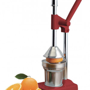Presa citrice inox