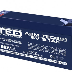 Acumulator Plumb - Acid 6V-9,1A