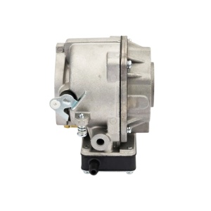 Carburator motor agricol Briggs & Stratton 693480, 693479, 499306, 694026, 694056, 495181 - Img 4