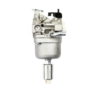 Carburator motor agricol Briggs & Stratton 796109, 591731, 594593 - Img 5