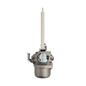 Carburator motor agricol Briggs & Stratton 796122, 794593, 793161, 696737 - Img 3