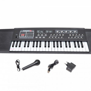 Orga electronica Canto HL-3829 cu 44 clape