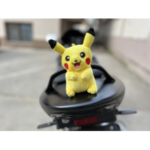 Jucarie plus pasager - POKEMON