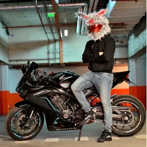 Husa casca moto - Iepure gri