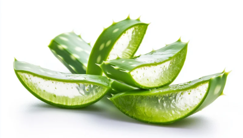 aloe-vera-pentru-calmare