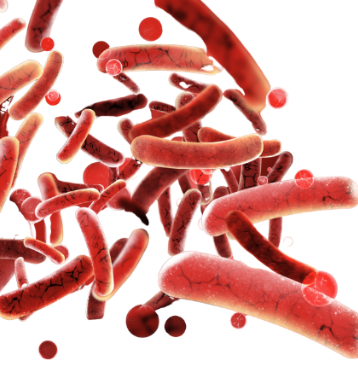 e-coli-care-cauzeaza-infectii-urinare