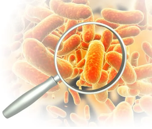 bacterii-care-perturba-flora-intestinala