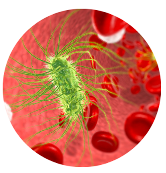 bacterii-care-cauzeaza-E-coli