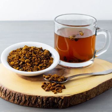 ciuperca chaga
