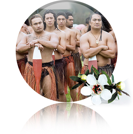 triburile-Maori-din-noua-zeelanda