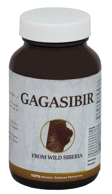 chaga-din-siberia