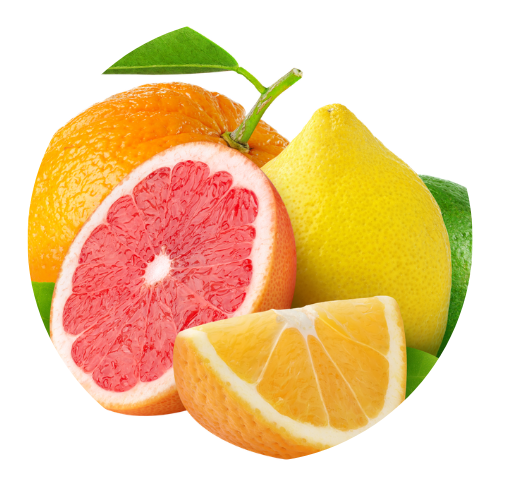 citrice-care-intaresc-imunitatea-la-copii