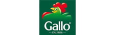 Gallo