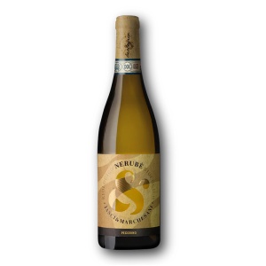 Vin Alb Nerubè Pecorino DOC 2025 Jasci & Marchesani 0.75l