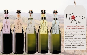 Pachet Fiocco di Vite 2026 - Img 3