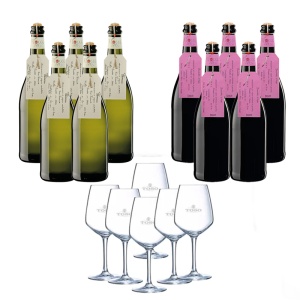 Pachet 10 Sticle Fiocco di Vite Brachetto și Prosecco Toso+ 6 Pahare Cadou