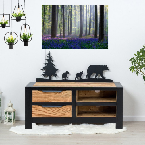 Comoda TV Rustic Loft 2 sertare si 2 nise, Lemn masiv rustic, 100 x 40 x 50 cm