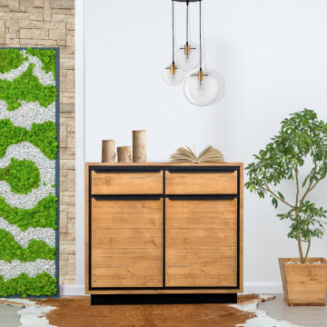 Comoda Lemn masiv Mexicana, 2 usi si 2 sertare, 97 x 45 x 85 cm - Img 4