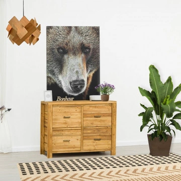 Comoda cu 1 usa si 2 sertare Colibri, Lemn masiv rustic, 110 x 46 x 85 cm