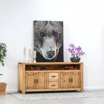Comoda TV 4 usi 2 sertare si nisa Ecuador, Lemn masiv rustic, 180 x 50 x 85 cm