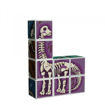 Set de constructie magnetic educational QuTek Dino cu carduri de invatare - Img 6