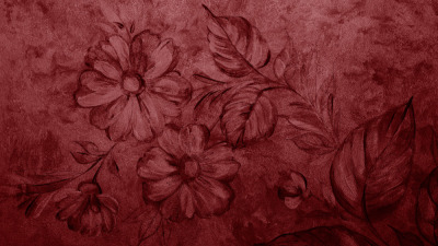 Alegeri inspirate: vopsea Stucco Venetian