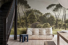 Camere recomandate