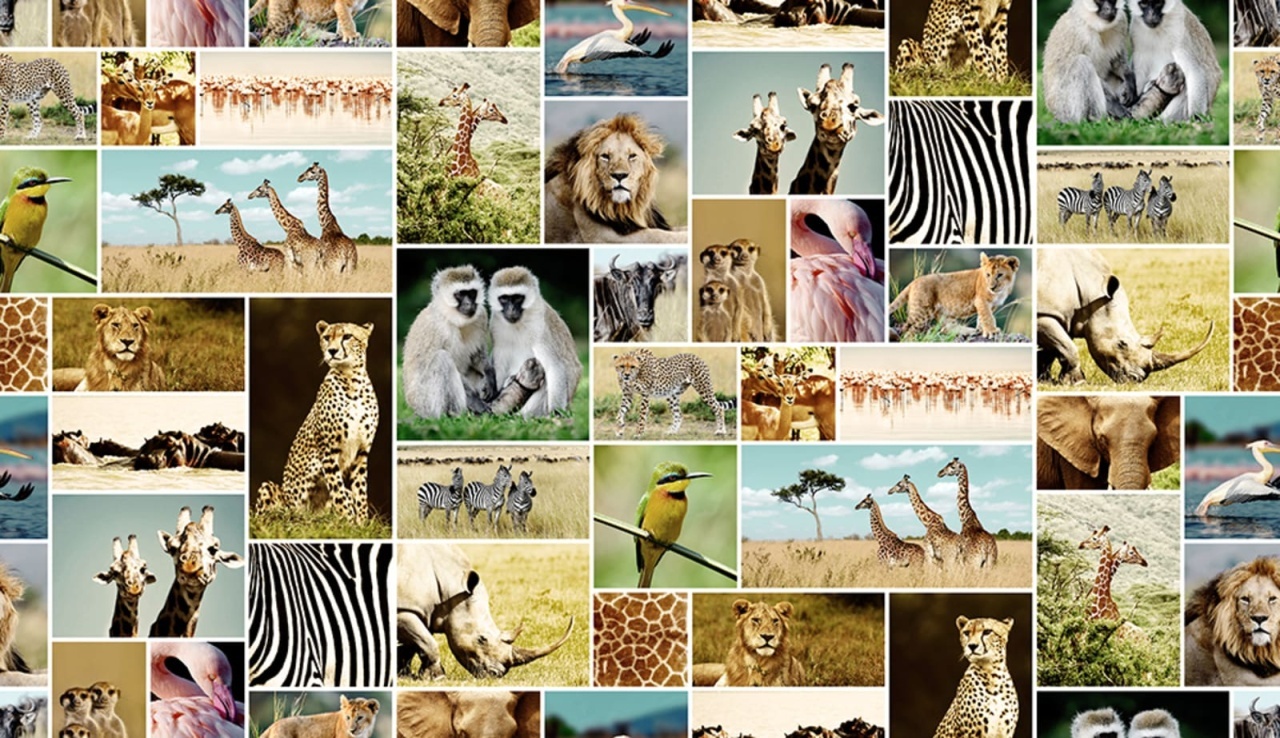 Fototapet, Africa, Rebel Walls - 2