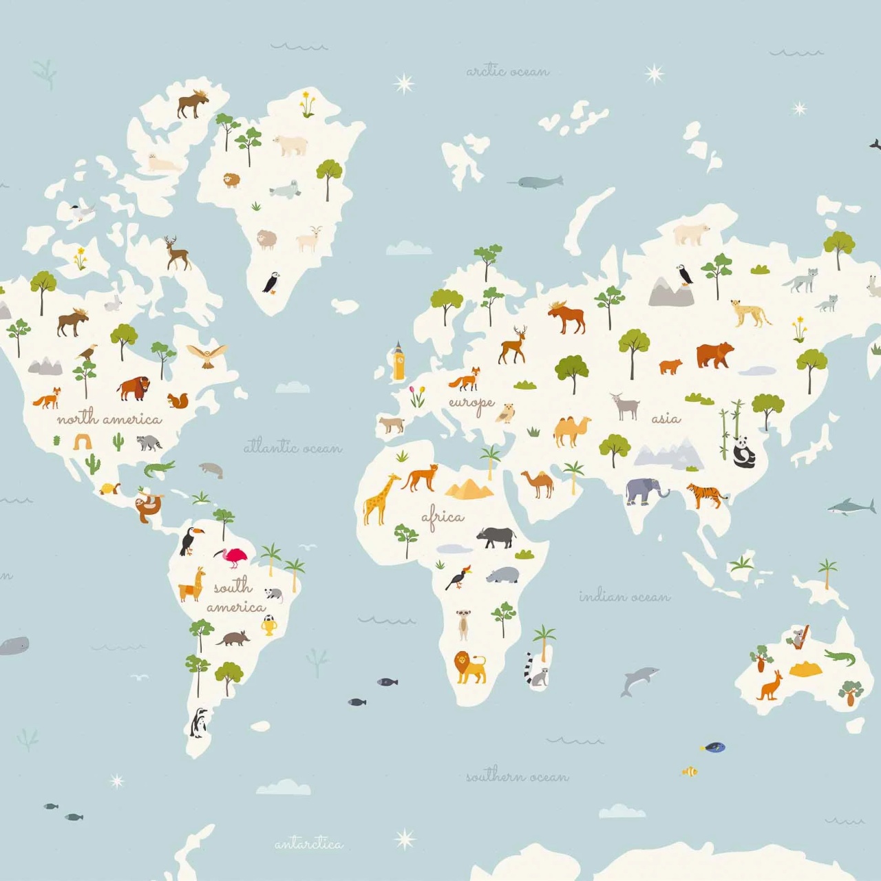 Fototapet Animal Map, Aqua, Coordonne - 2