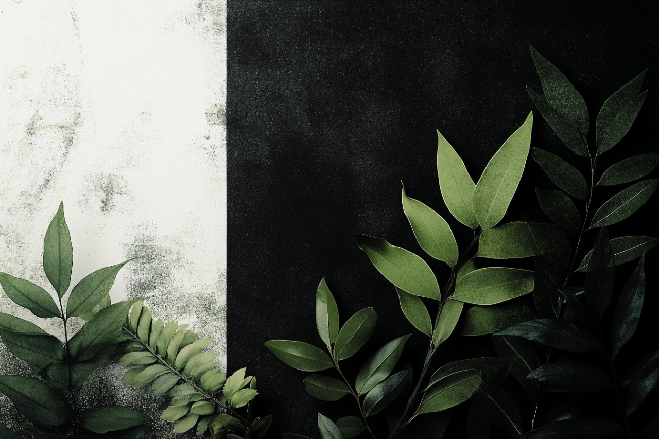 Fototapet Artistic Vegetal Ficus Rêve VF201