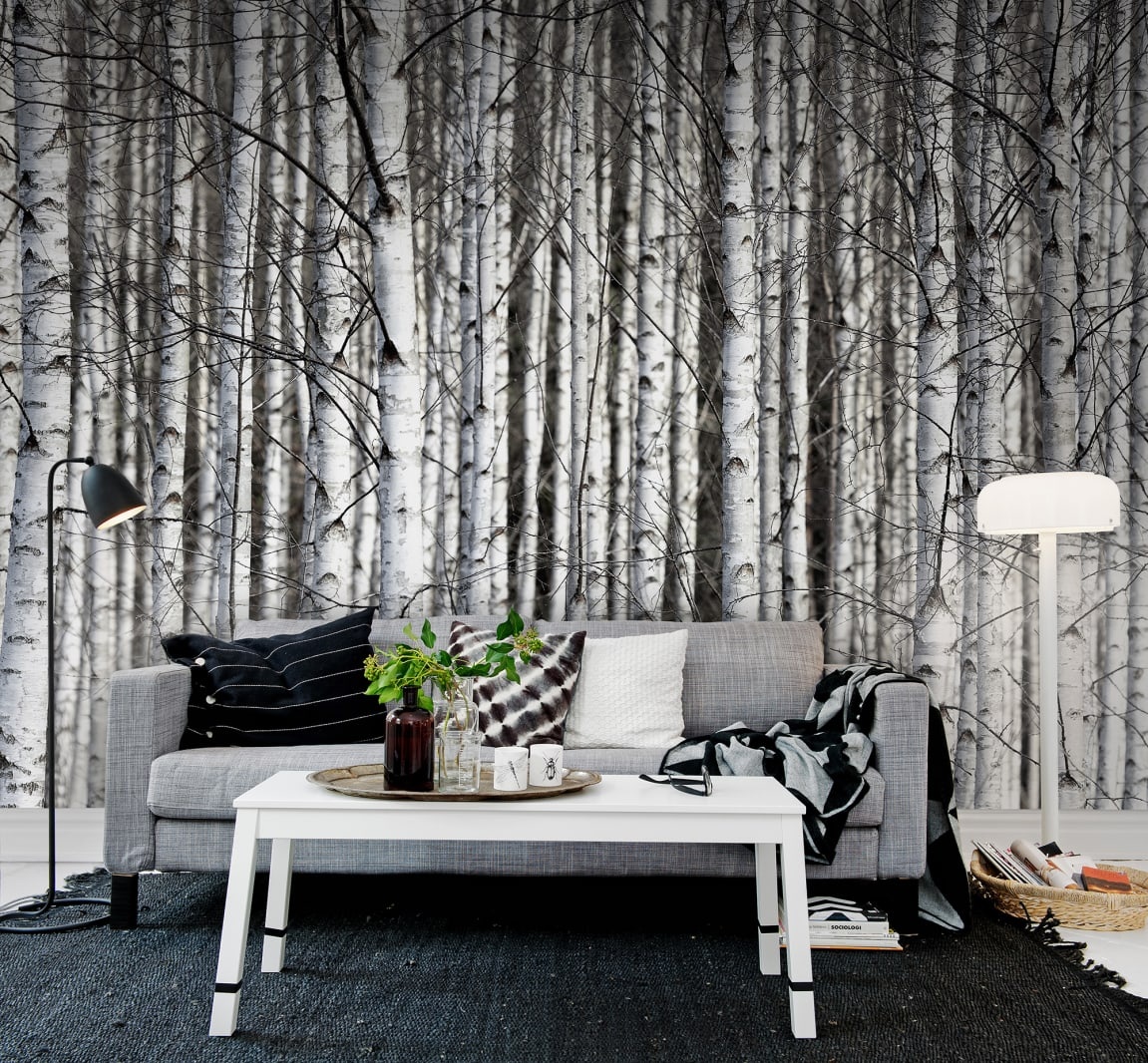 Fototapet, Birch Trunks, Rebel Walls - 3