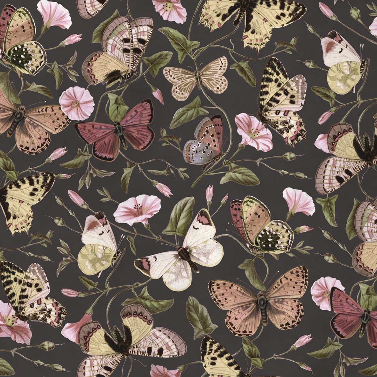 Fototapet, Butterflies, Midnight, Rebel Walls - 2