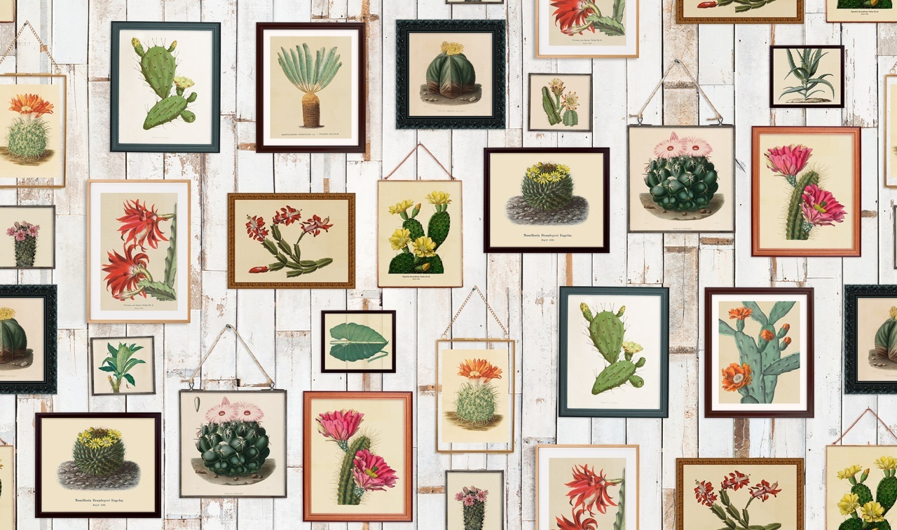 Fototapet, Cactus Wall Art, Rebel Walls - 2