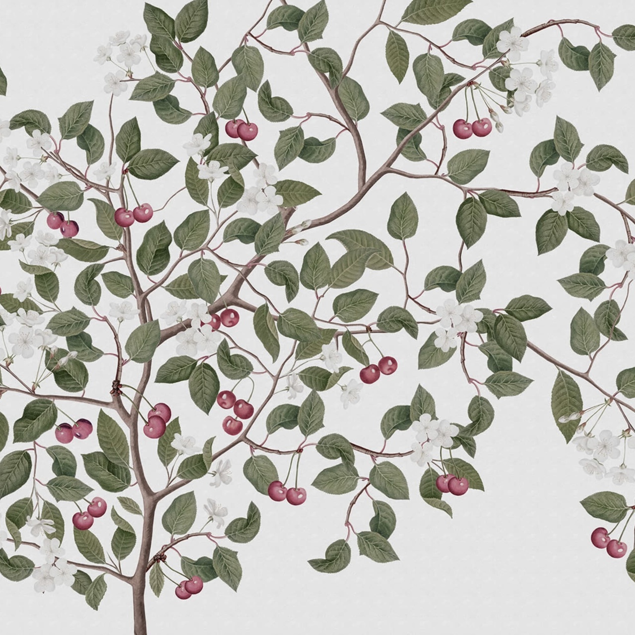Fototapet, Cherries, White, Rebel Walls - 2