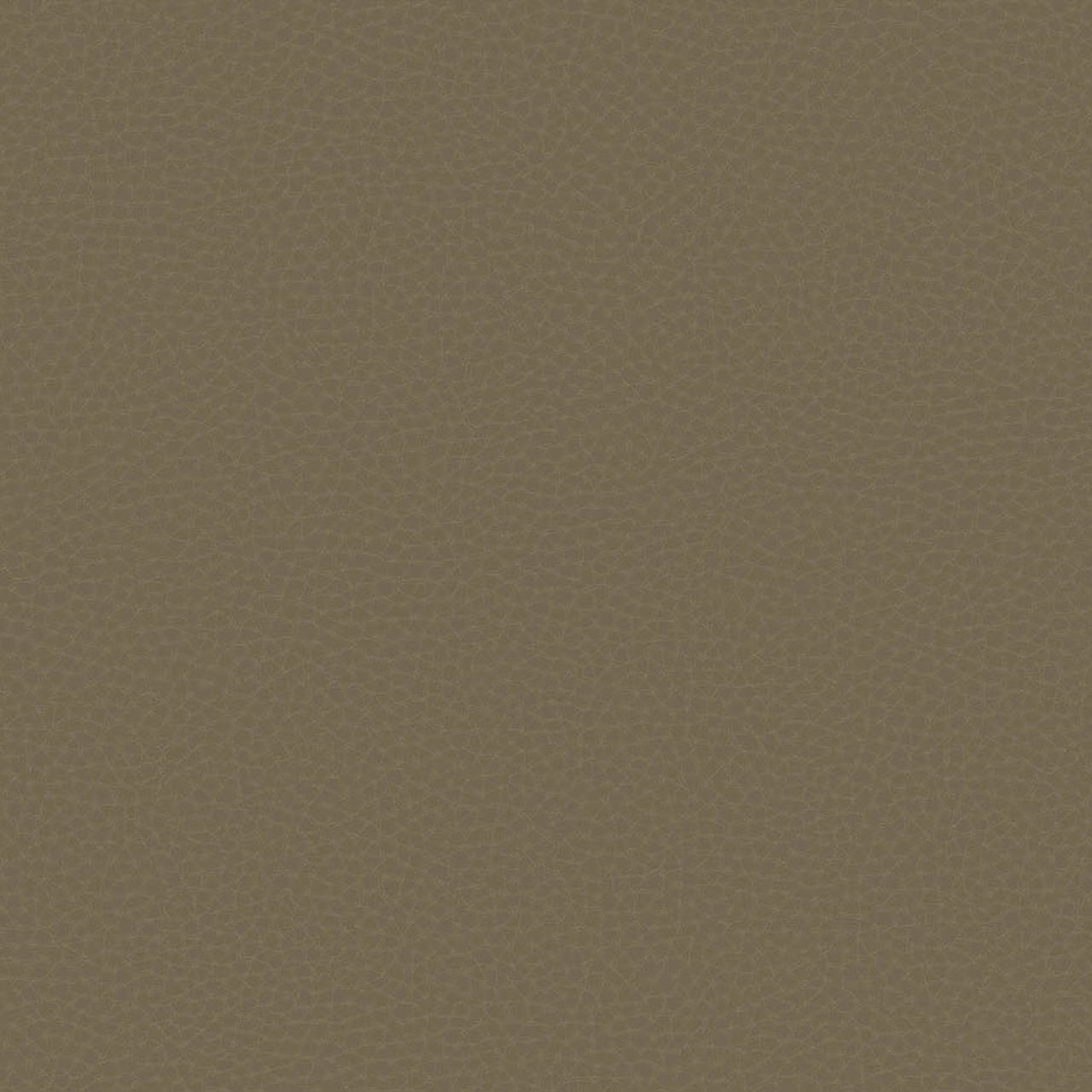 Fototapet, Chic Leather, 64788016, Coordonne