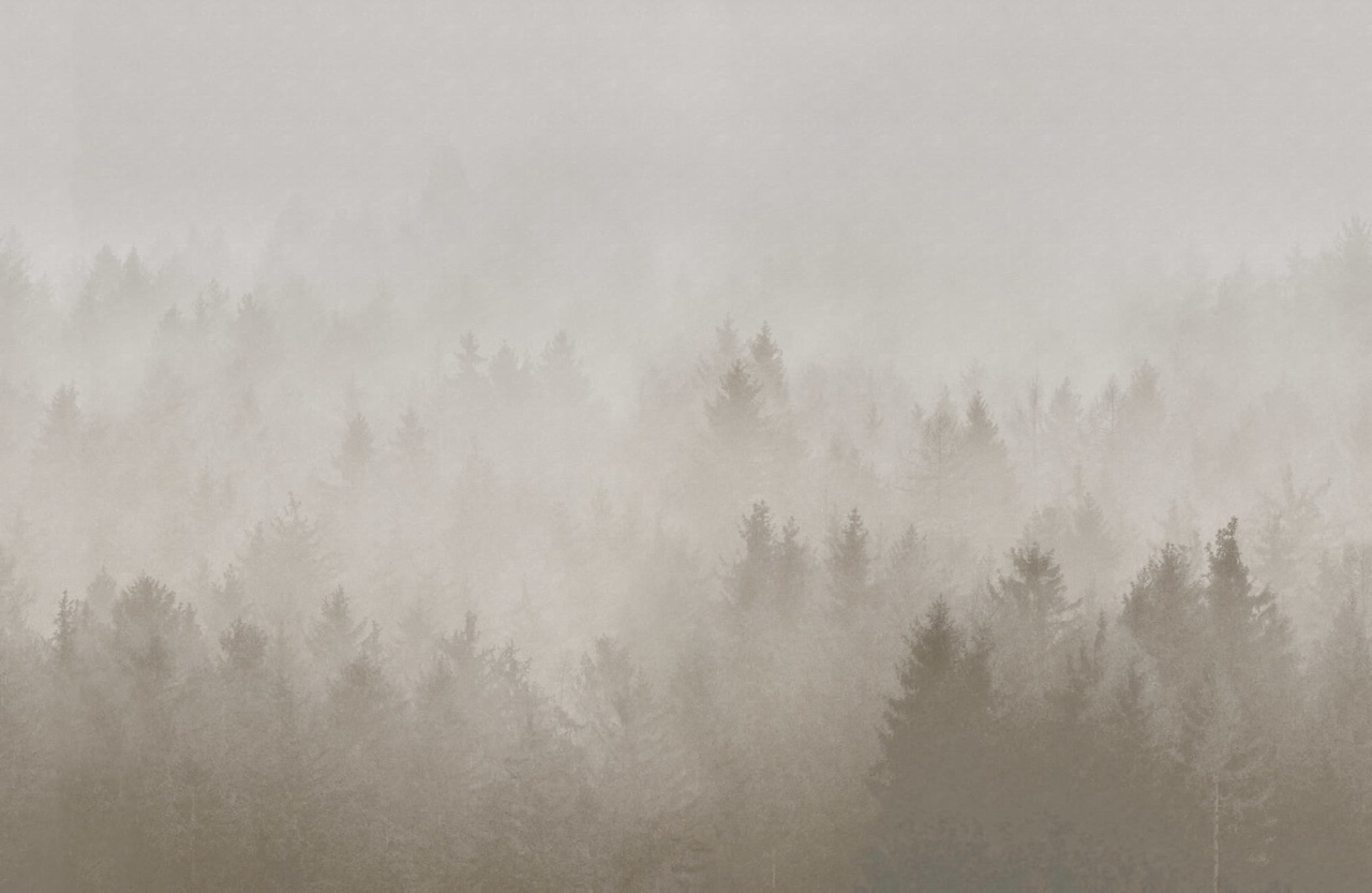 Fototapet, Cloudy Forest, Beige, Rebel Walls - 2