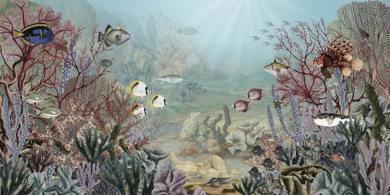 Fototapet Coral Creatures, Sir Edward - 2