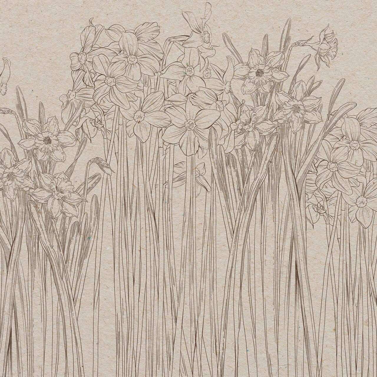 Fototapet, Daffodil, Beige, Rebel Walls - 2