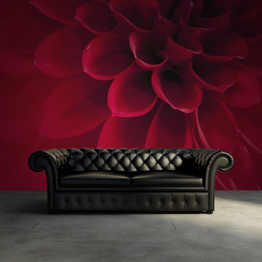 Fototapet, Dahlia, Rebel Walls - 3