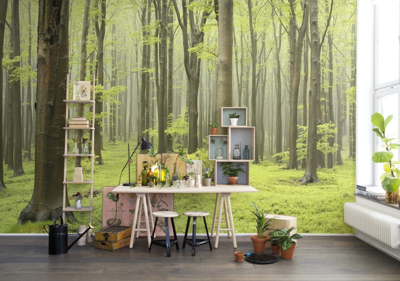 Fototapet, Deciduous Forest, Rebel Walls - 5