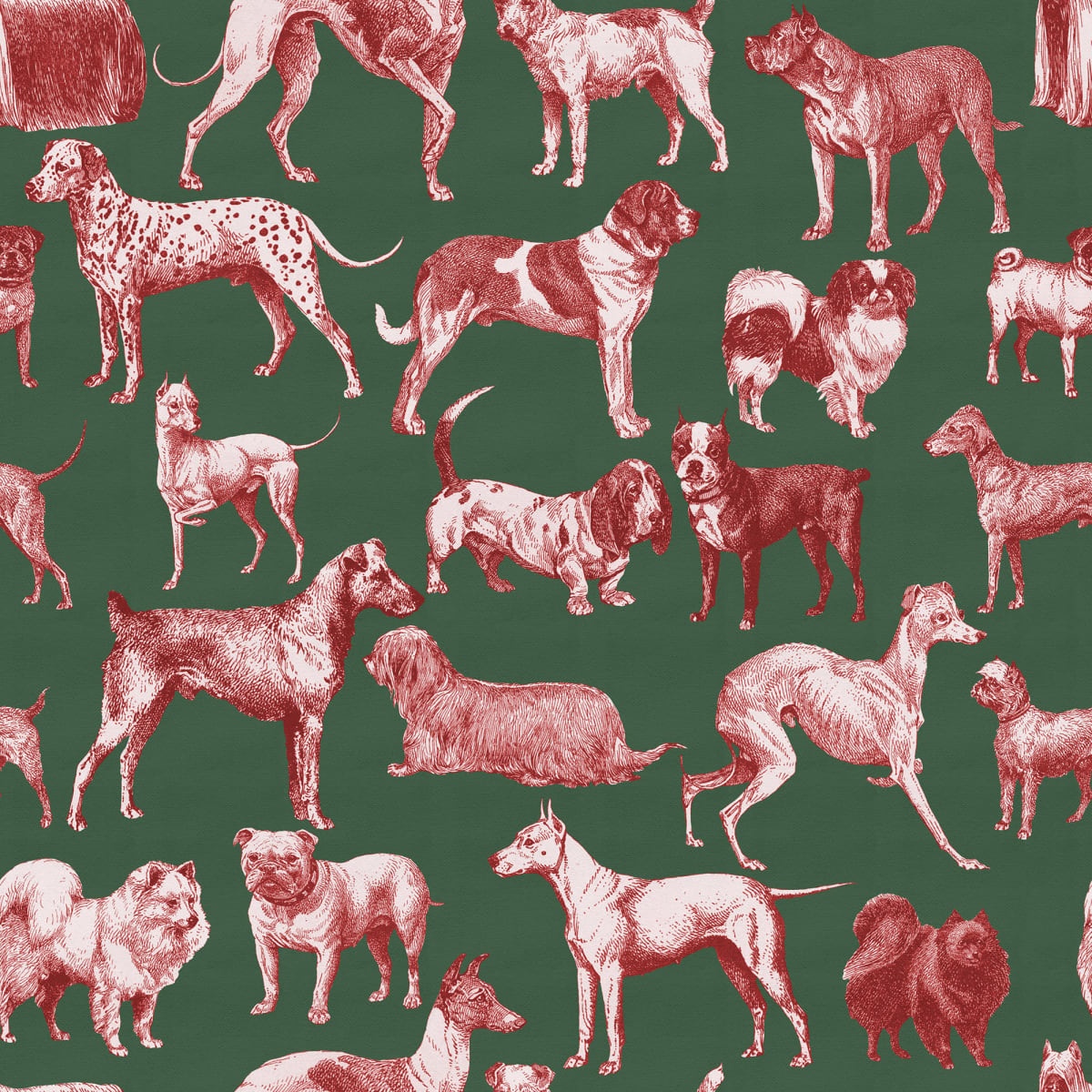Fototapet, Dogs, Red Tan, Rebel Walls - 2