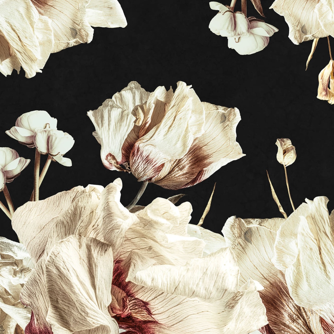 Fototapet, Dried Bouquet, Dark, Rebel Walls - 2