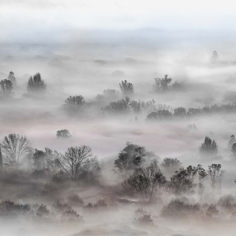 Fototapet Foggy Landscape Pastels, VLAdiLA - 2