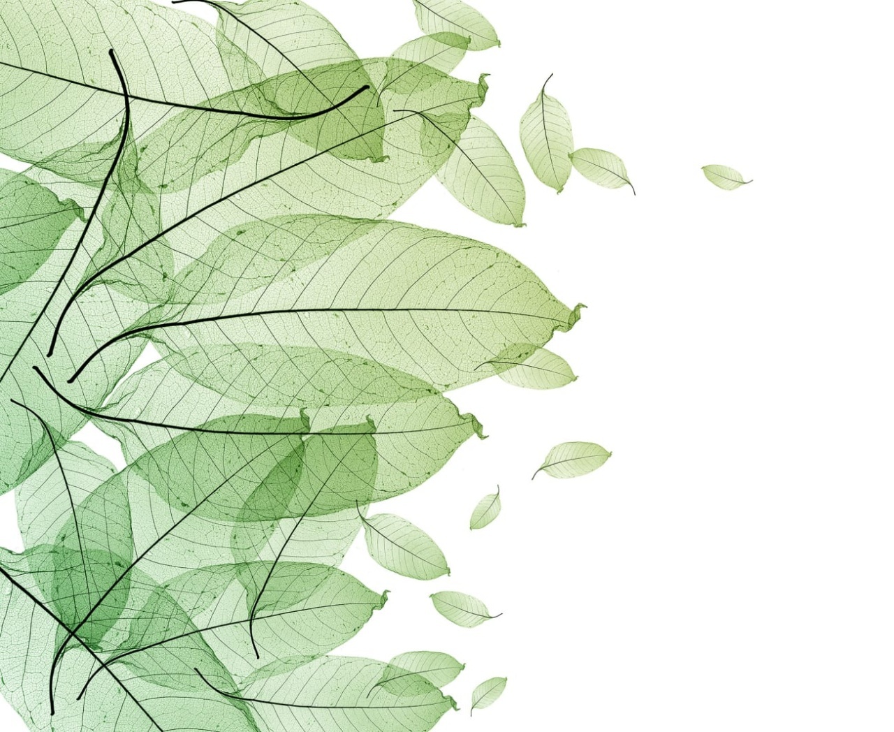 Fototapet, Foliage, Rebel Walls - 2