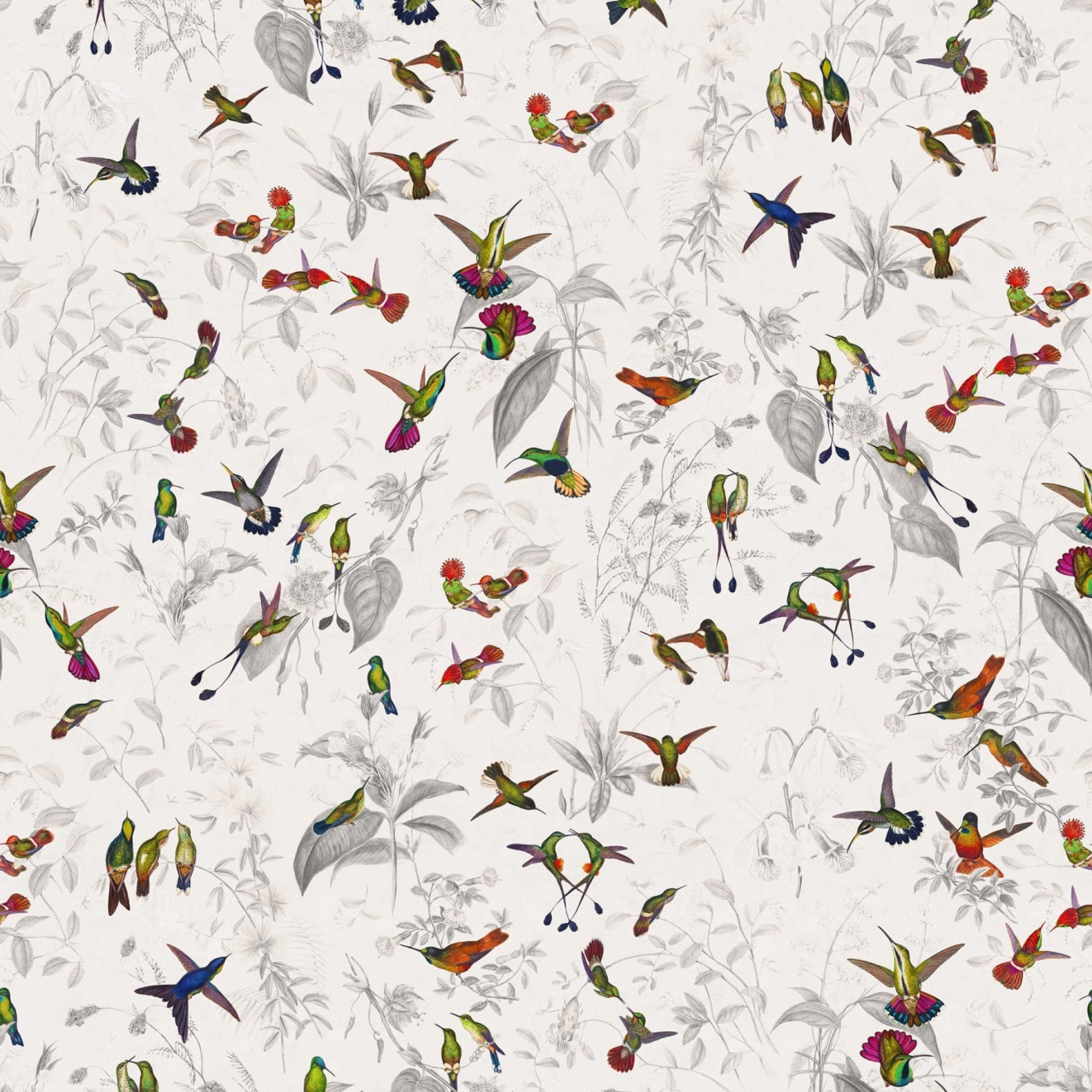 Fototapet, Hummingbird, Light, Rebel Walls - 2